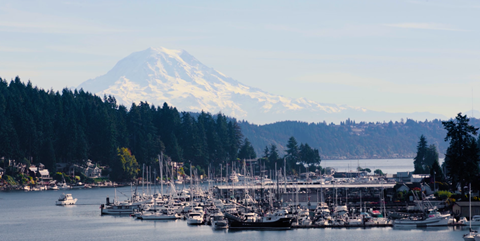 a harbor filled with boats with a mountain in the background